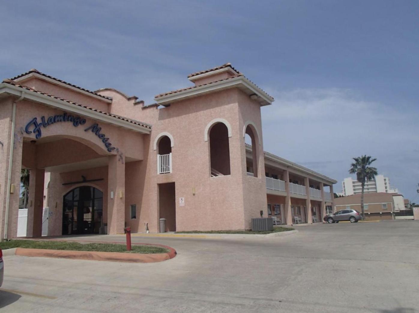 The Flamingo - South Padre Island Otel Dış mekan fotoğraf